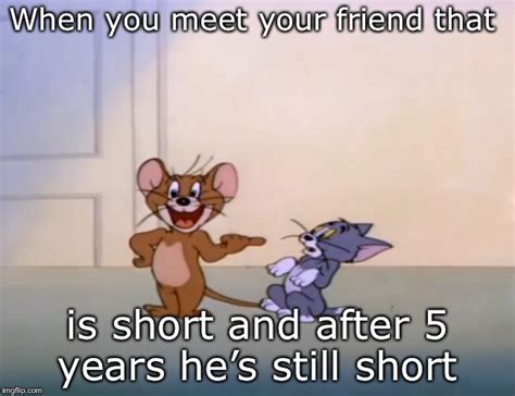 short friend meme